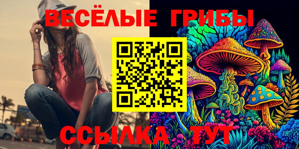 Алушта  Псилоцибиновые грибы прущие грибы  Псилоцибиновые грибы GOLDEN TEACHER  Вход с VPN 